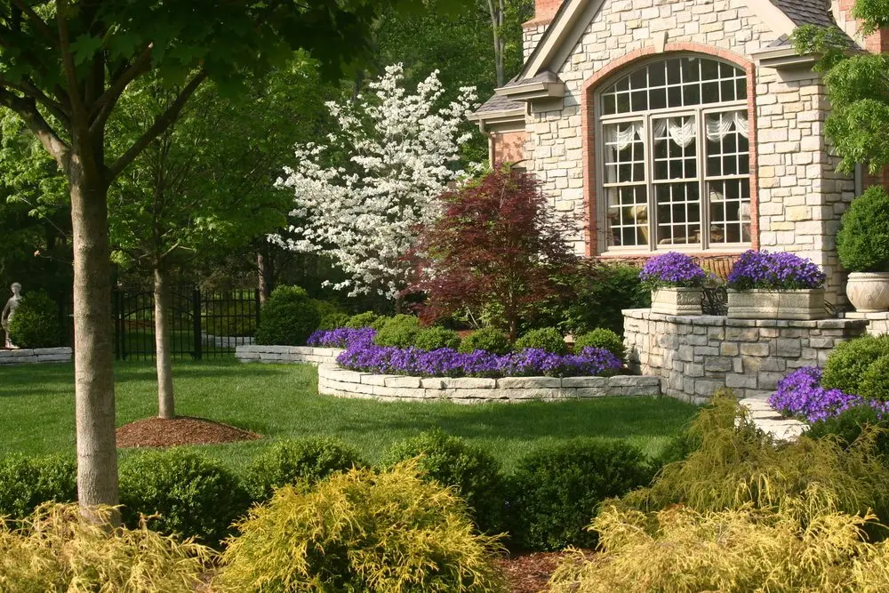 construction company - landscape design
