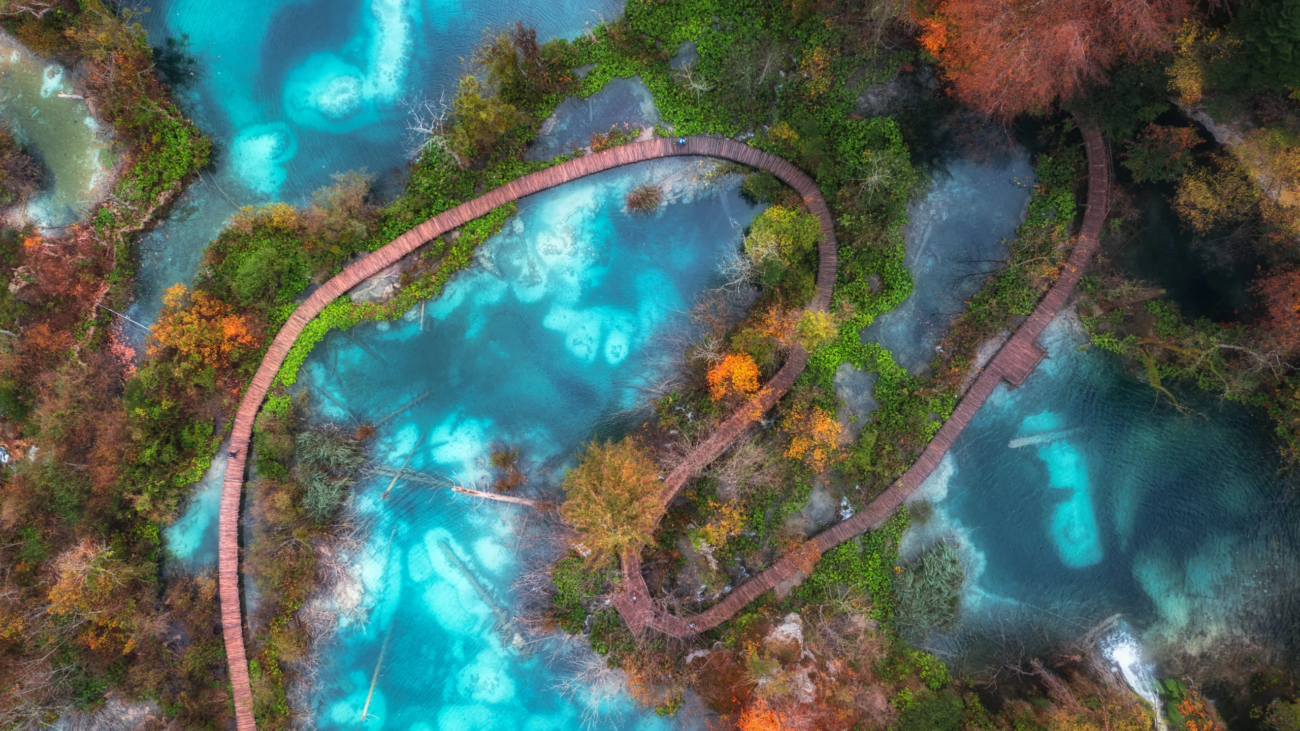 aerial-view-of-blue-lakes-in-red-autumn-forest-at-2024-12-05-21-34-47-utc