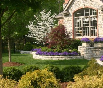 construction company - landscape design